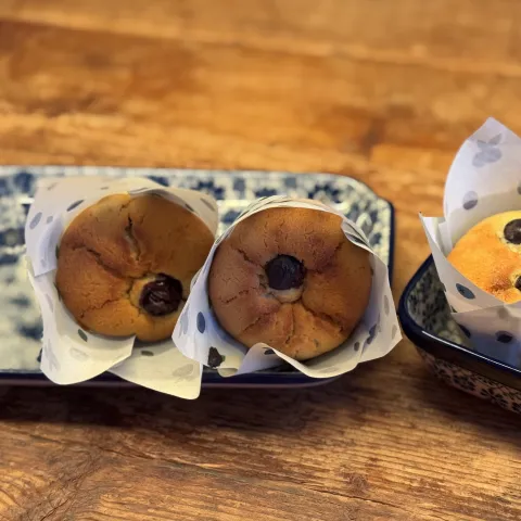 Blauwe bessen muffin groep